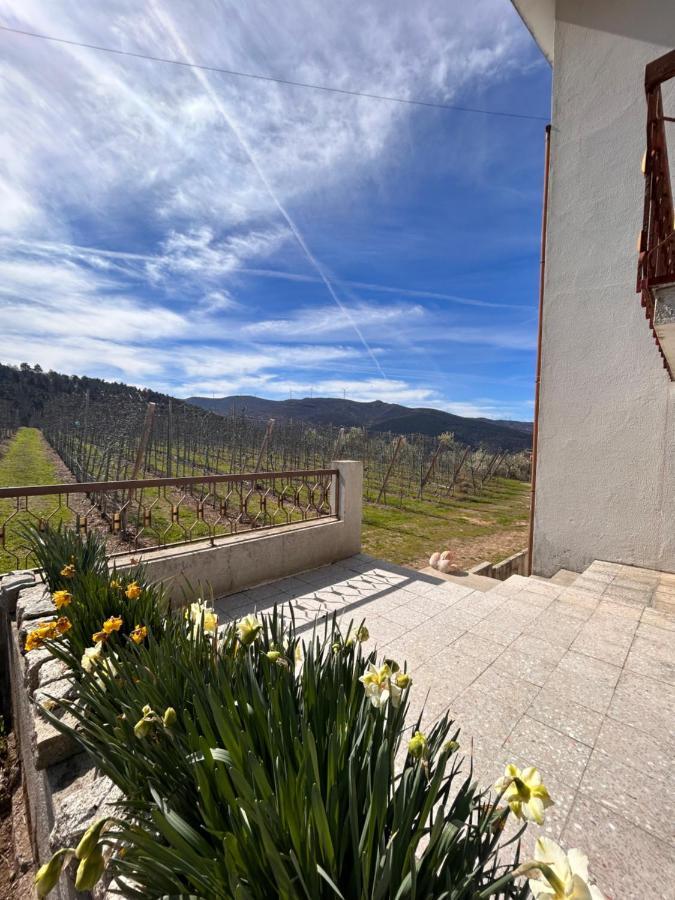 Casa Vicente Villa Lamego Exterior foto