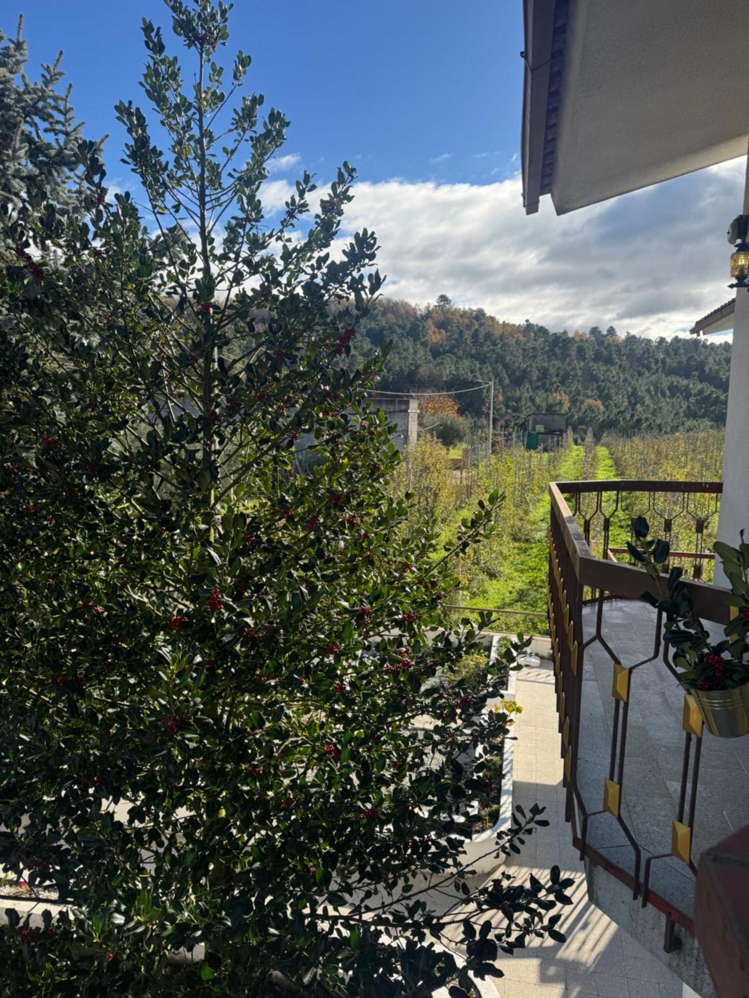 Casa Vicente Villa Lamego Exterior foto